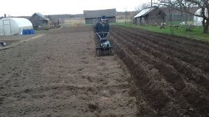 мотоблок кайман в деле нарезает борозды