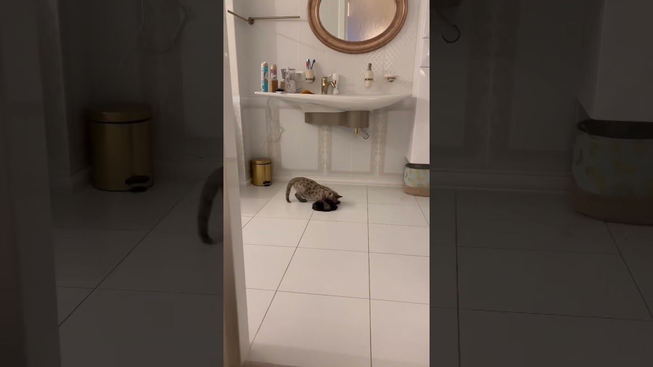 Чем бы дитя не тешилось☺️