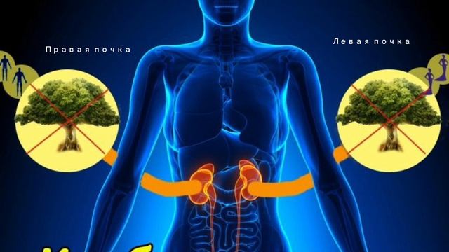Медитация на прощение мамы, проработку родового канала с матерью, наполнение женской энергией смотреть онлайн