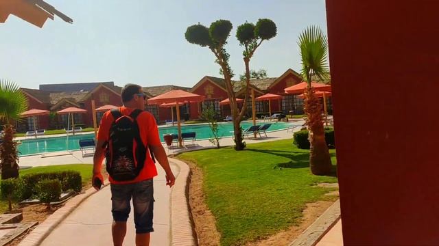 10# 25.02.2021 Египет зимой 2021. Территория отеля ALBATROS JUNGLE AQUA PARK 4 * . Часть 10. смотреть онлайн