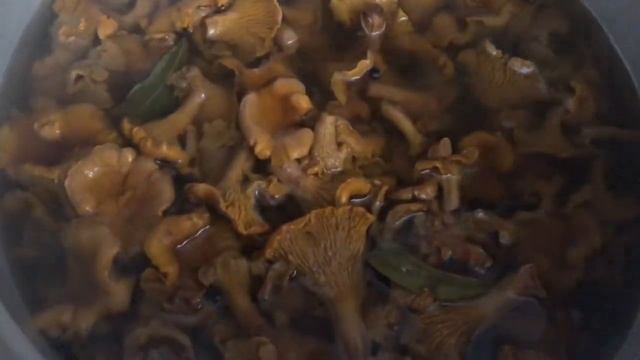 394. Эстония. Маринованные лисички. Вкуснейшие.#рецептмаринования #жизньвэстонии #Novatinafilm #vlo смотреть онлайн