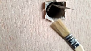 Замена (установка) розеточной коробки  и розетки.