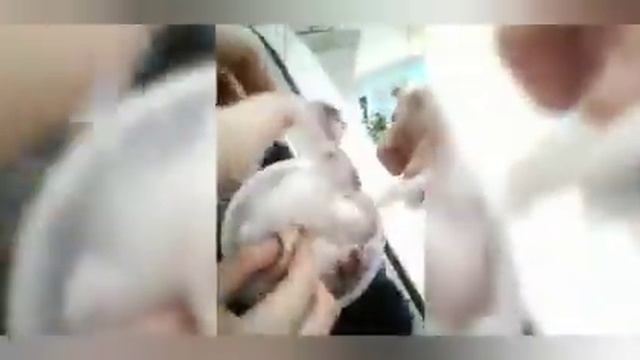 Влоги Томоэ и Коти|ТРЦ 