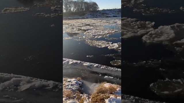 Солнечное утро , прогулки вдоль реки в ноябре смотреть онлайн