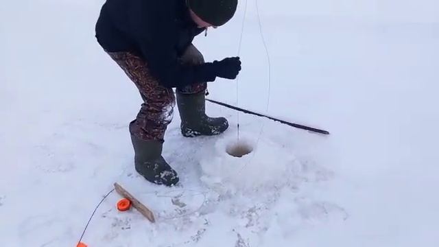 Турбаза Ковенская выезд на озеро смотреть онлайн