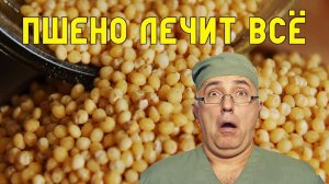 ПШЕНО лечит практически ВСЕ