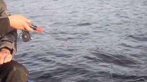 Ловим в отвес. Техника ловли, снасти, поклевки