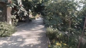 Поселок Береговое, Феодосия! Крым 2020 год. База отдыха "Альтернатива".