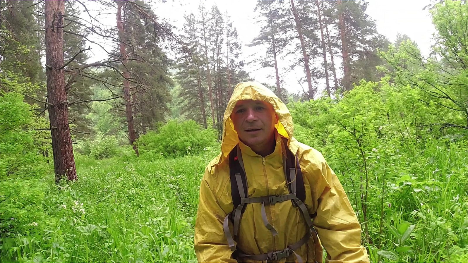 Навестил свое лесное жилище, проверил фотоловушку и солонец. смотреть онлайн