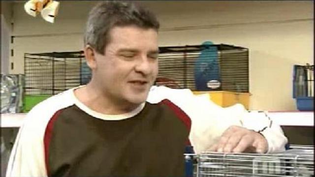 НУЖНЫ КРОЛЬЧАТА