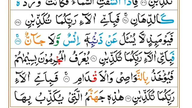 Surah Yaseen | Surah Rahman | Surah Waqia | Surah Mulk | Quran Recitation | Lofi Quran