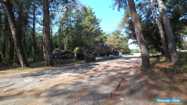 Гагра и Пицунда | Обзор двух лучших курортов Абхазии | Пляжи, места, советы, цены смотреть онлайн