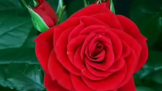 108 имён ДЭВИ. смотреть онлайн