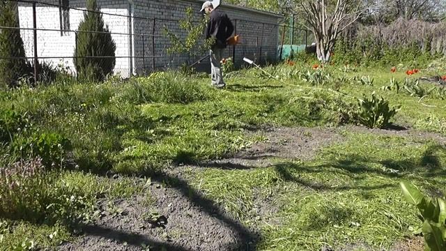 Электрический триммер или газонокосилка