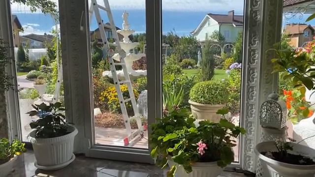 Добро утро 🌸 про пеларгонию смотреть онлайн