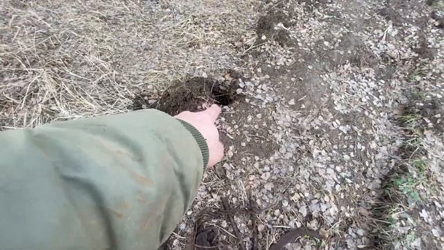 Первая старинная монета в этом сезоне и другие находки. смотреть онлайн