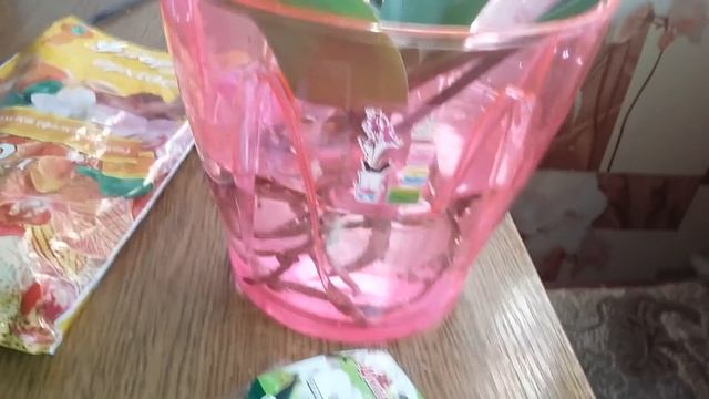 Срочная пересадка орхидеи.(часть первая) смотреть онлайн