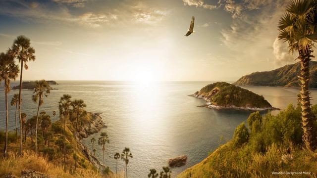 Музыка для Души на Органе | Бах - Органная Музыка для Работы, Учёбы