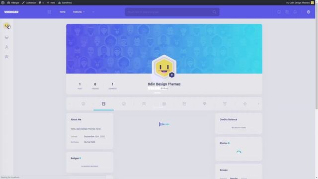 Profile Personal - Profile Fields - Vikinger - WordPress & BuddyPress Social Community смотреть онлайн