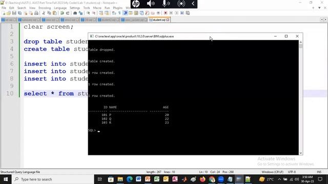 1.3 Executing SQL via Scripts смотреть онлайн