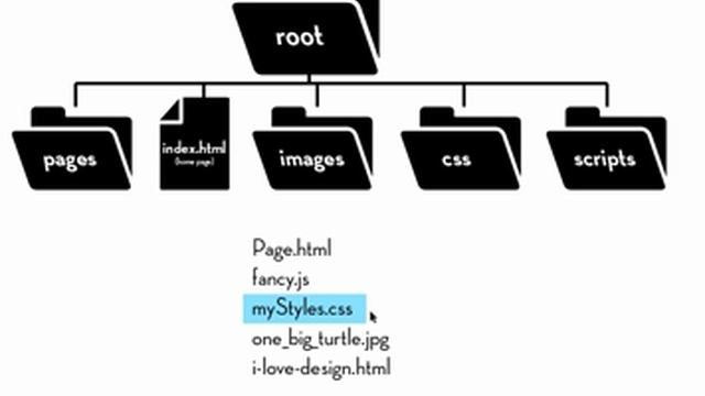 {Web-D 01} File and folder structure смотреть онлайн