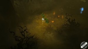 Diablo 3:  Все билды колдунов