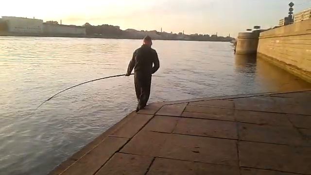 грин и рипус смотреть онлайн
