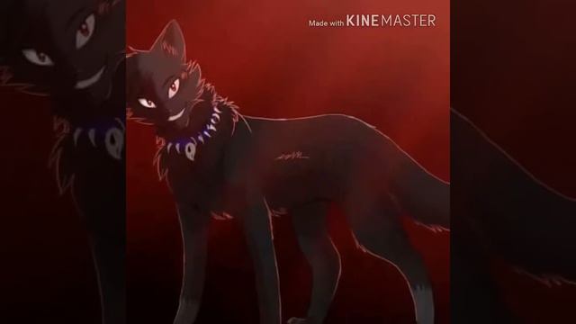 Коты Воители "Болен тобой" Бич и Кровоцапка смотреть онлайн