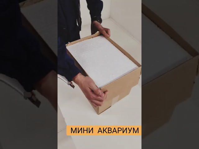 Аквариум AquaPlus Mini 10 #аквариум #купитьаквариум #миниаквариум #аквариумдлярыбок #аквариумдетей