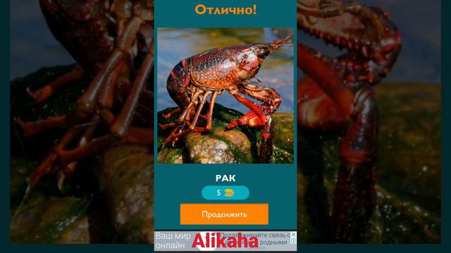 "Угадай слова" - ответы с 1 по 10 уровни. смотреть онлайн