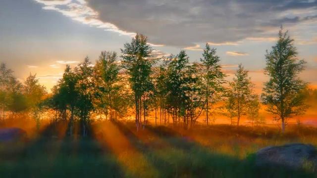 Ченнелинг 18.08.2014. Софоос, Морея. Фантомы, их роль в иллюзии, опыте и построении сценария смотреть онлайн