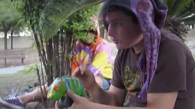 THE CHAMELEON.. flower смотреть онлайн