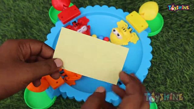 Toyshine Foody Frogs Family Board Game, 4 Player Frog Toy Review (53)