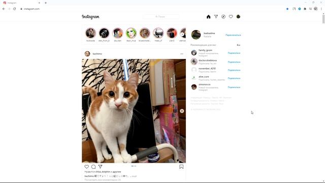 Как очистить историю поиска в Instagram? Удаляем Инстаграм историю со смартфона и с компьютера смотреть онлайн