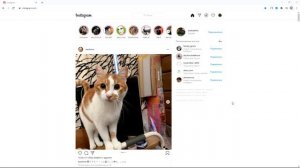 Как очистить историю поиска в Instagram? Удаляем Инстаграм историю со смартфона и с компьютера