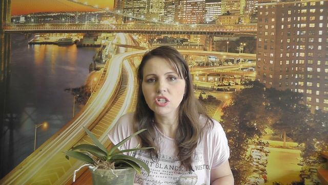 сохнут корни Ожог корней. Ржавый налет на корнях у орхидеи. Причины смотреть онлайн