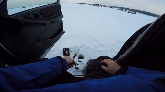 Cудак в феврале на раттлины, на реке Обь! #рыбалканаовх #frapp #рыбалка2023 смотреть онлайн