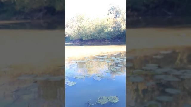 Рыбалка на кружки и перемет(смотреть до конца) смотреть онлайн