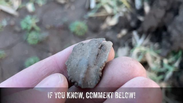 Coins EVERYWHERE! An EPIC Start To 2024! | Metal Detecting OLD FINDS | Minelab Manticore | Stef Dig смотреть онлайн