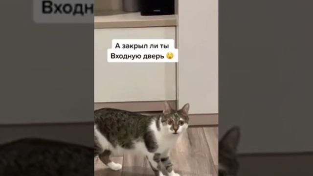 2_5325830429964503864.mp4