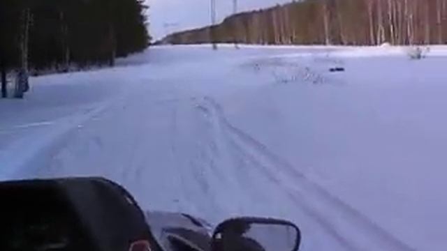 снегоход Polaris 700. поездка по просеке. смотреть онлайн