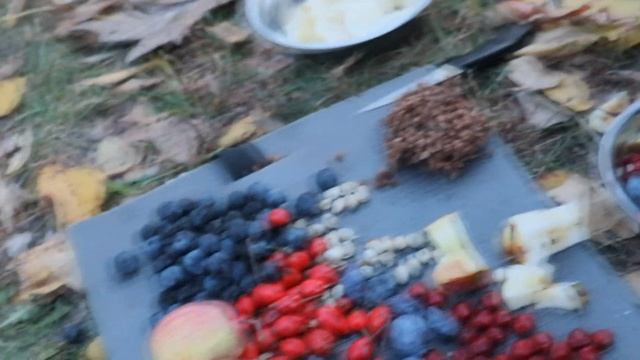 Приготовление сока Гамми ягод. Осенний поход на речку. смотреть онлайн
