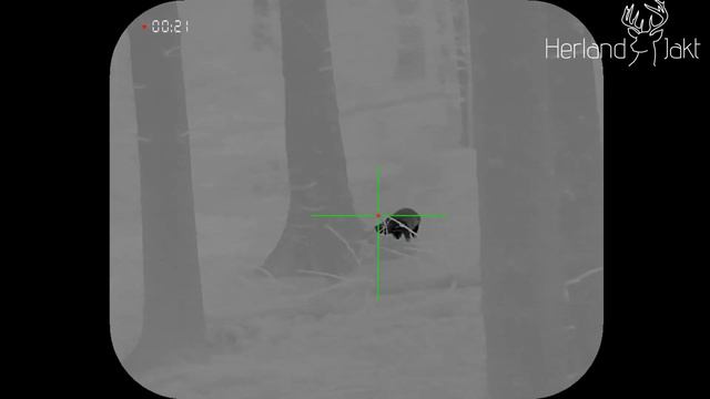 Conotech Night arrow 650 - Thermal Rifle Scope смотреть онлайн