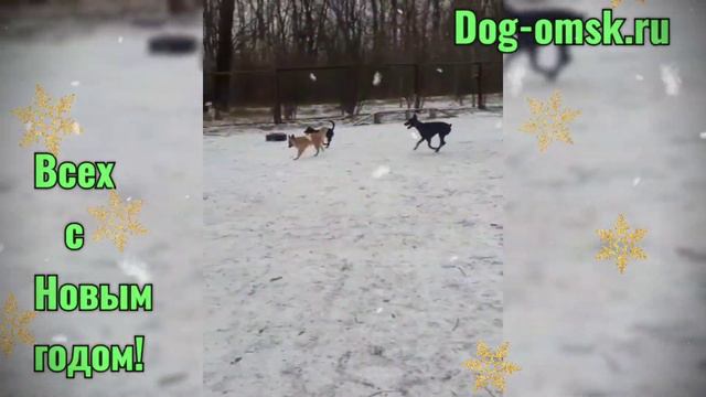 Привет от Зельды - Линды и её друзей. смотреть онлайн