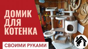 ?Необычный домик для котенка своими руками!