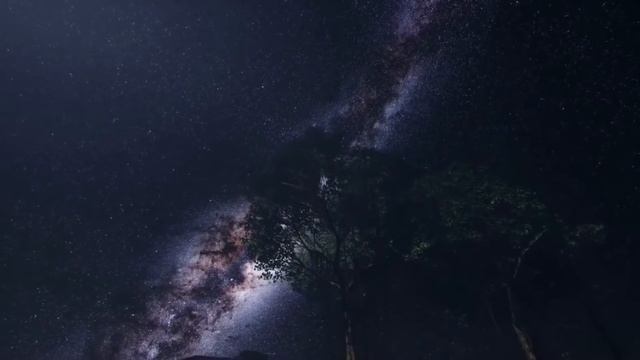 читаю Я - помедли, ночь... (Игорь Кобзев) смотреть онлайн