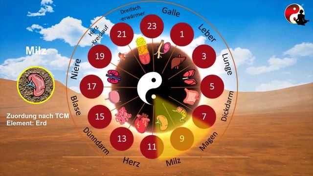 Qigong-Steigerung Mit Fünf-Elemente-Musik: Effizienteres Üben Für Innere Harmonie!