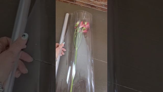 Один цветок в прозрачной пленке 3 способа. Экспресс мастер класс смотреть онлайн
