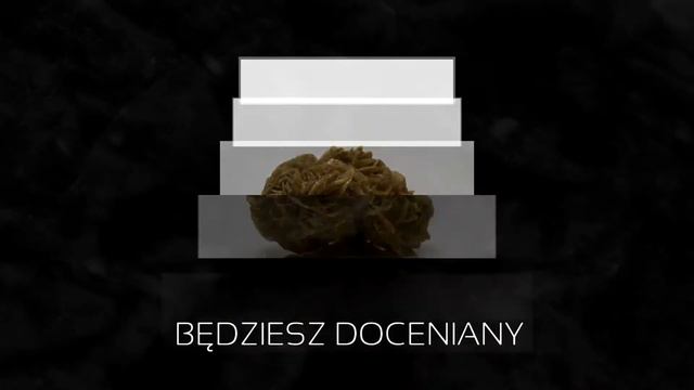 4Taroty.pl - Róża pustyni - optymizm, szczęście; cykl „Kryształy a szczęście", energia kamieni смотреть онлайн