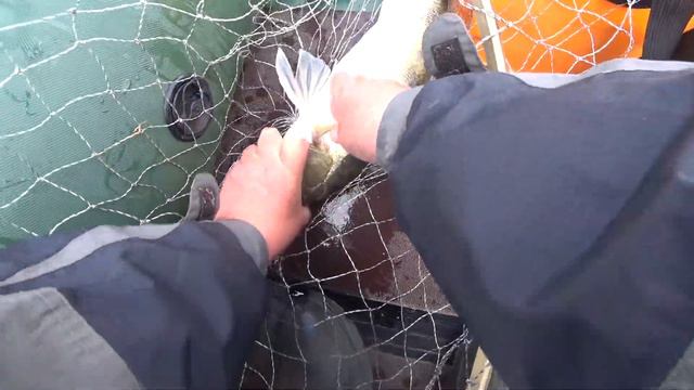 ПОД ЭТИМ МОСТОМ клюнул ОН...Руки затряслись Рыбалка на спиннинг 2021 смотреть онлайн
